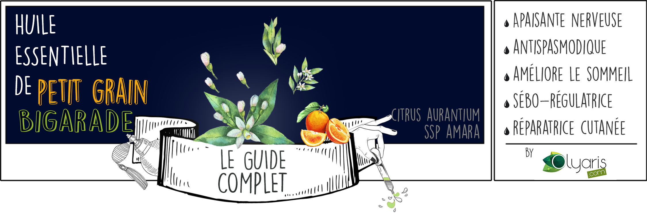 Huile Essentielle de Petit Grain Bigarade : le guide d’utilisation complet - Olyaris